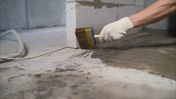SJ Waterproofing Pros Waterproofing coverage map for Darien, GA and surrounding area